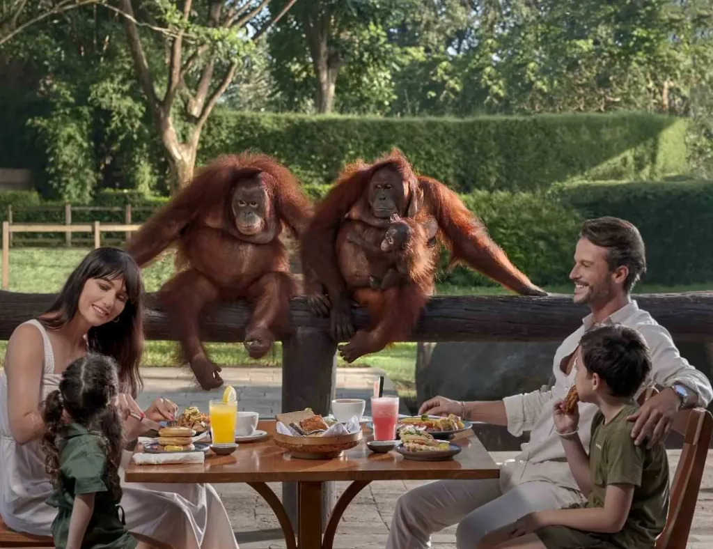 breakfast-with-orang-utan-mapbalitours