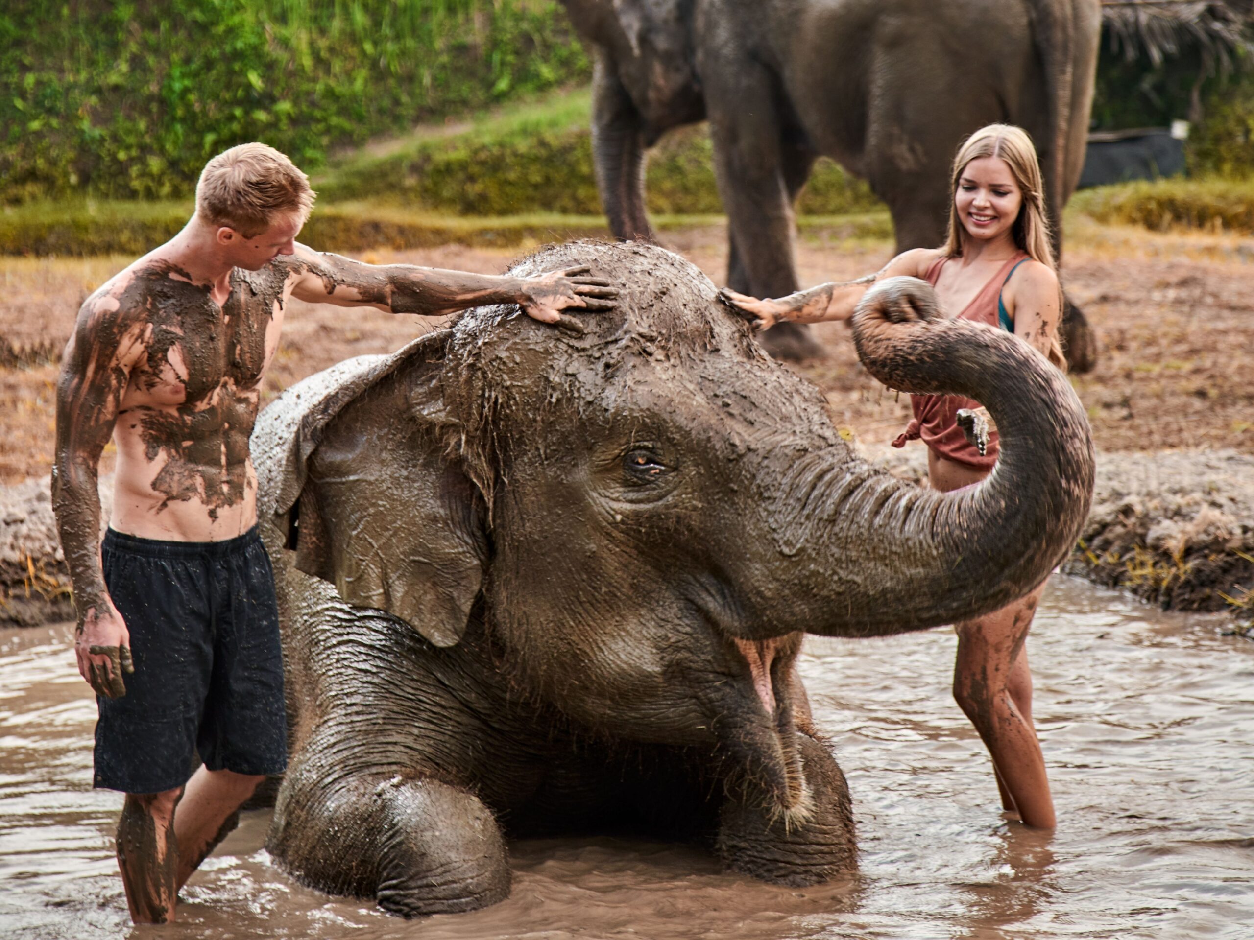 elephant-mud-fun-mapbalitours